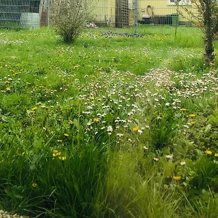 Ferienwohnung Feldmann Freckenfeld Esterno foto