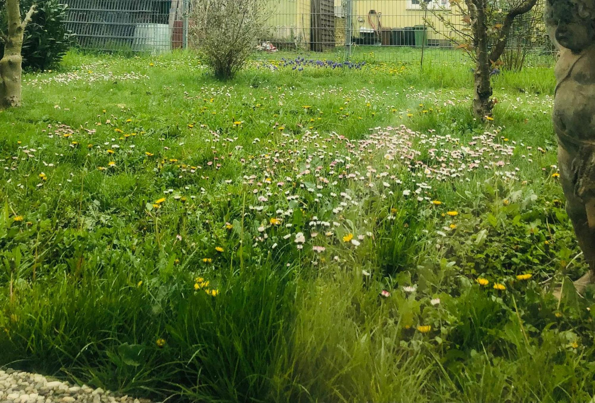 Ferienwohnung Feldmann Freckenfeld Esterno foto