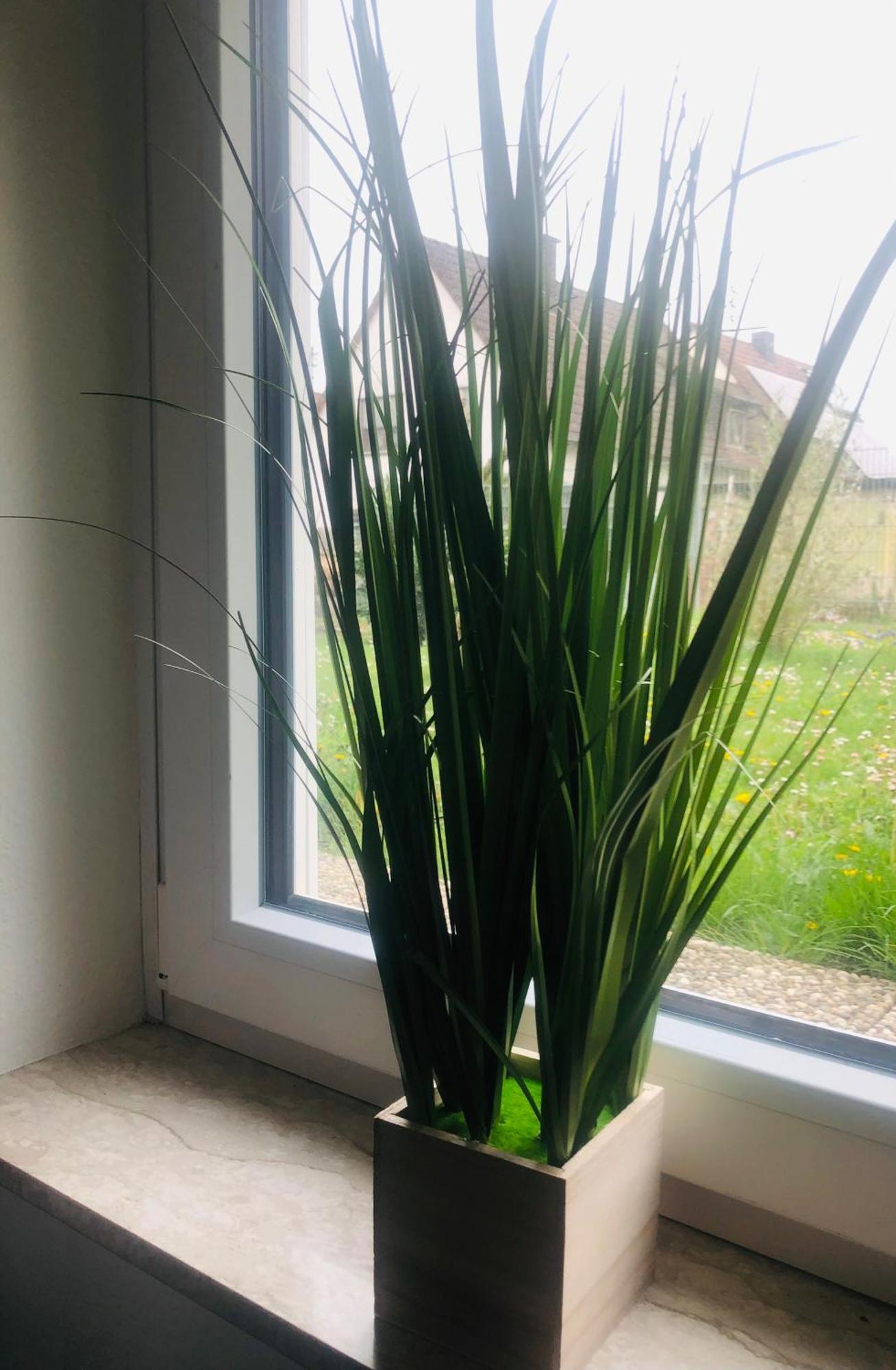 Ferienwohnung Feldmann Freckenfeld Esterno foto