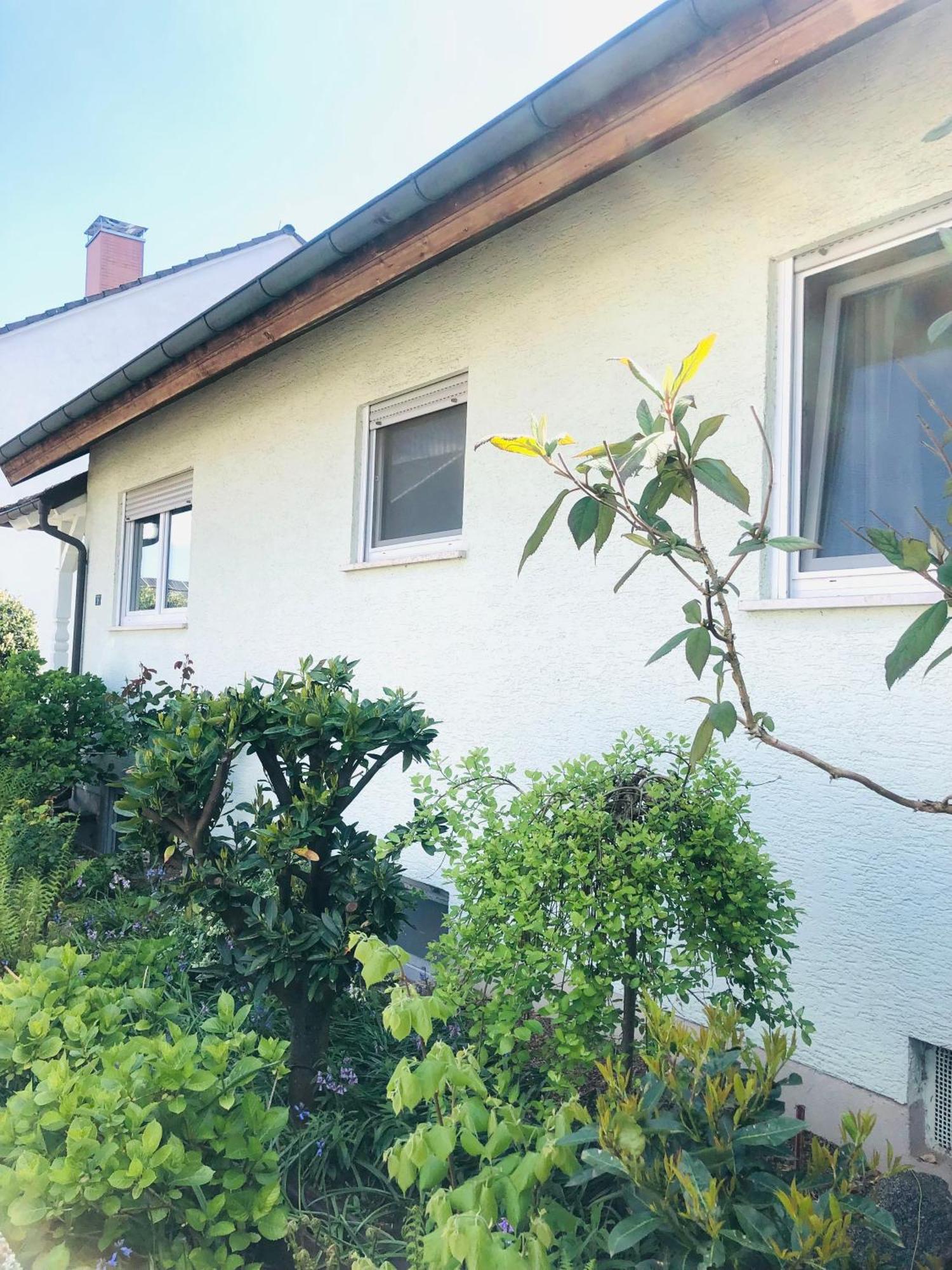 Ferienwohnung Feldmann Freckenfeld Esterno foto
